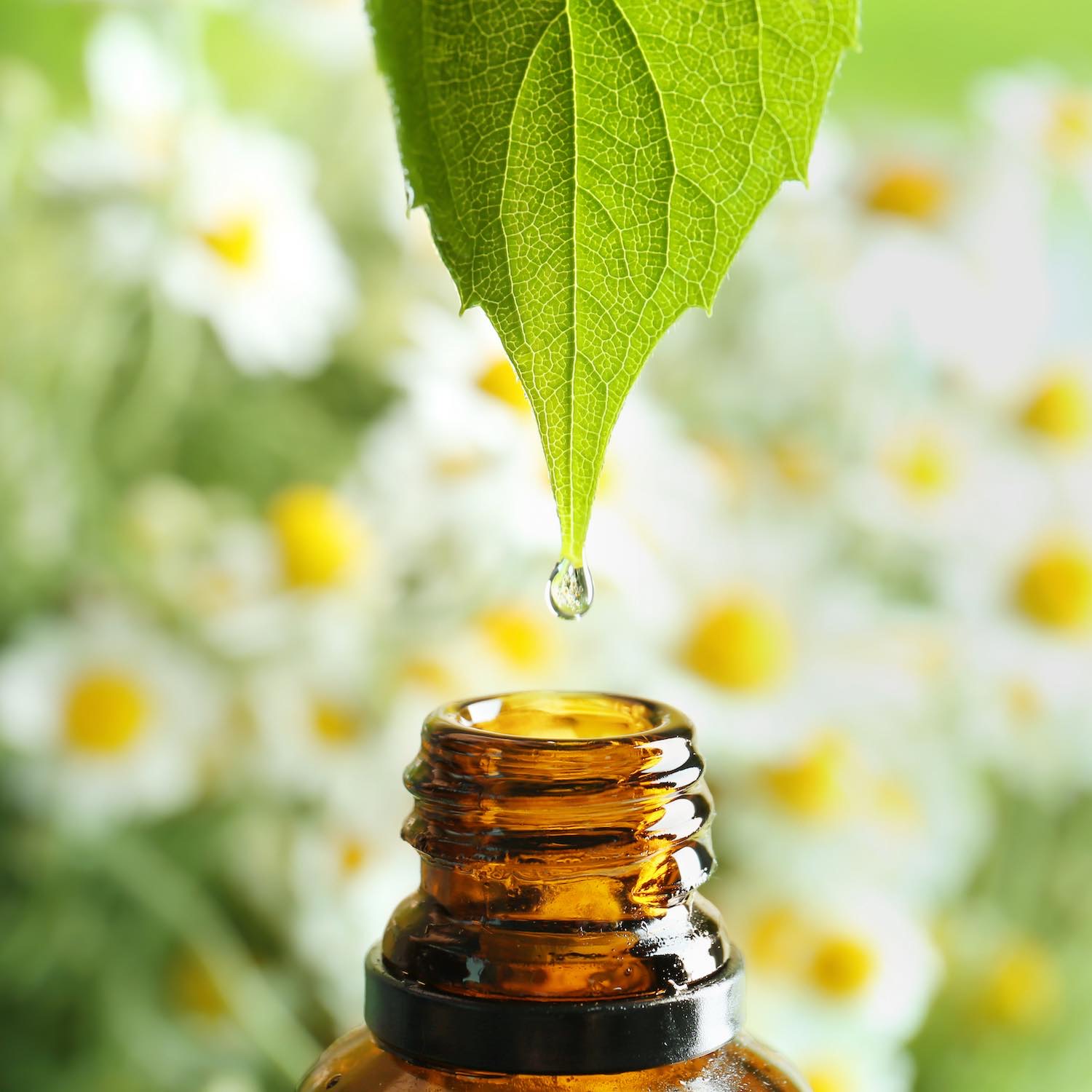Aromathérapie Pharmacie de la Cavee